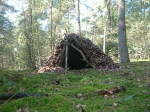 Workshop overleven